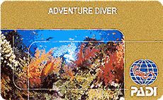 Adventure Diver