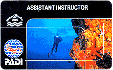 Assistant Instructor