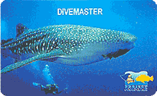 Divemaster