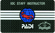 IDC Staff Instructor