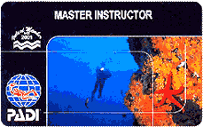 Master Instructor