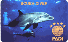 scuba diver