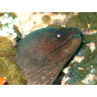 Случайное фото дня