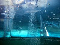 Случайное фото дня