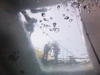 Случайное фото дня